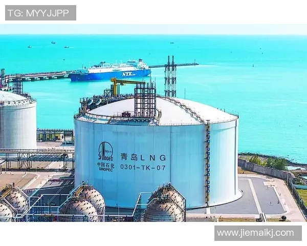 数据分析视角下液化天然气市场意识的表现与趋势探讨