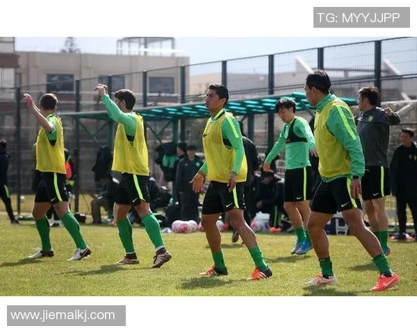 在绿茵场上自由飞翔足球的激情与梦想交织的旅程